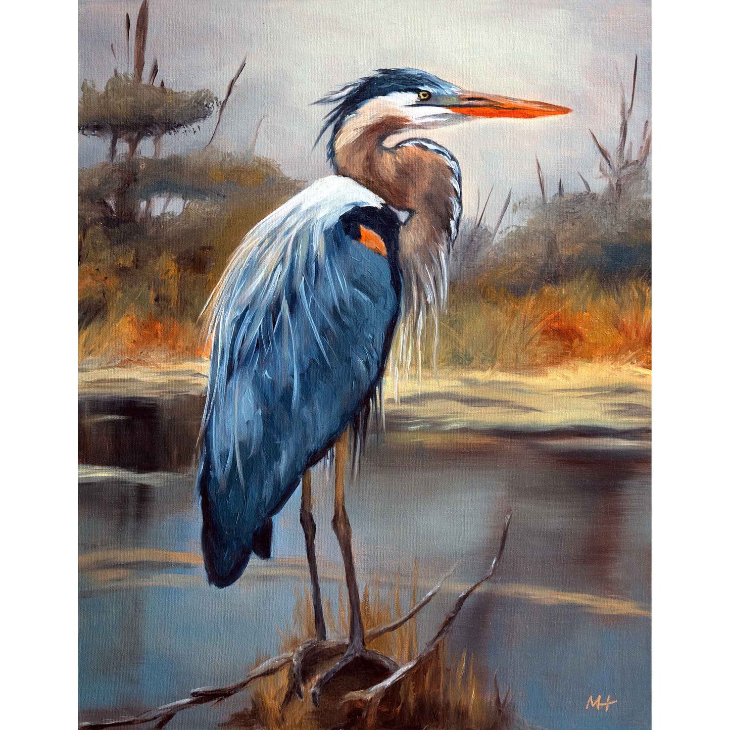 Great Blue Heron {original oil painting}