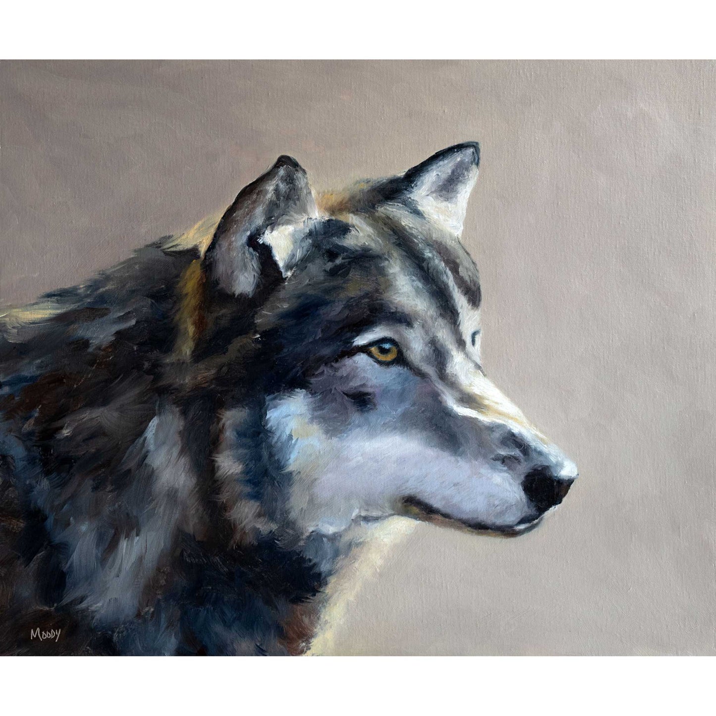 Lobo Gris {original oil painting}