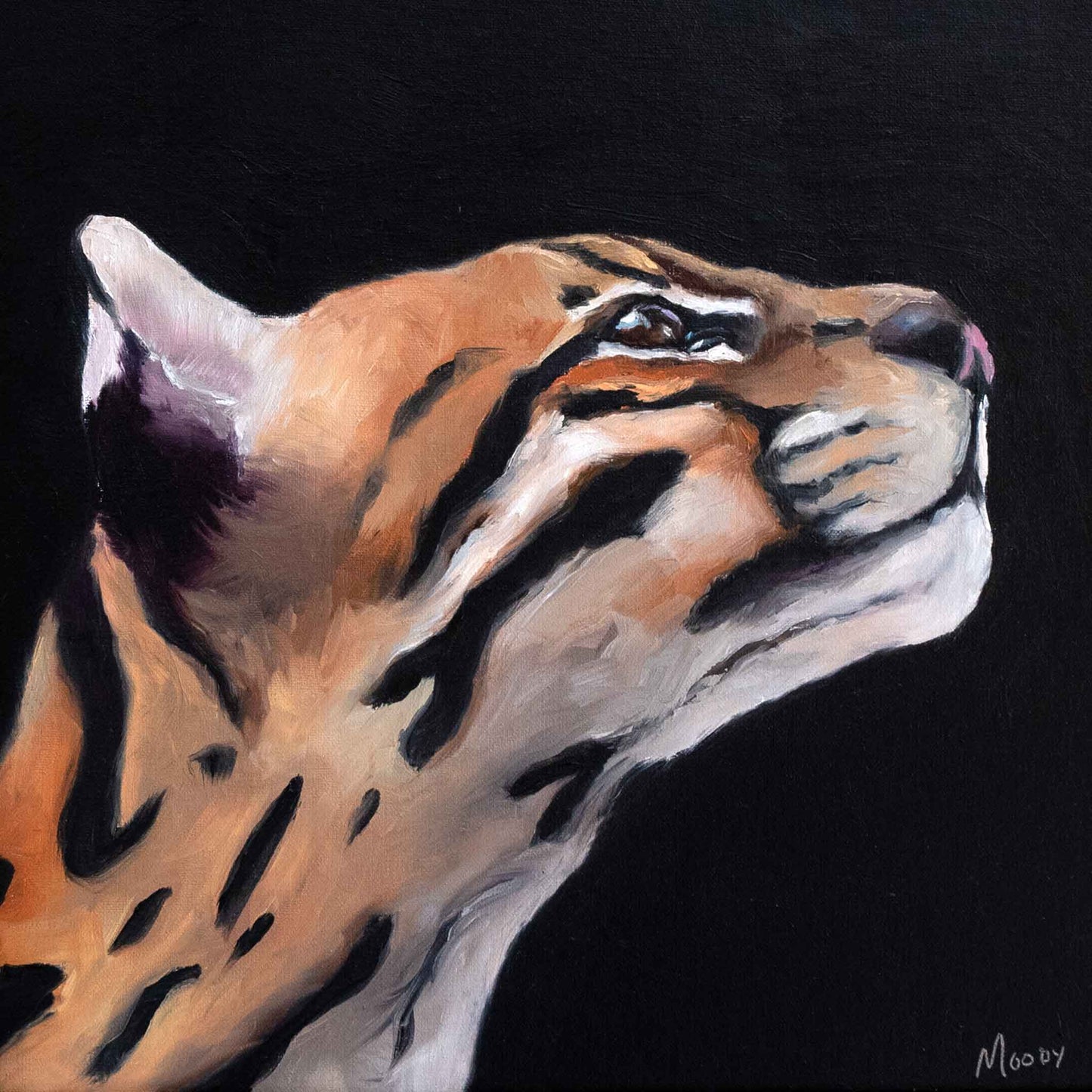 Stargazer {original oil painting}