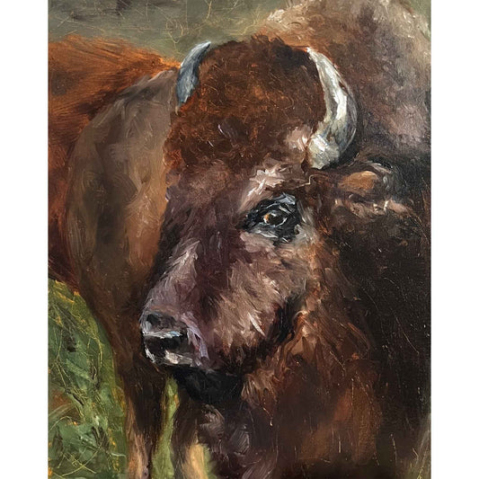 American Bison {open edition print}